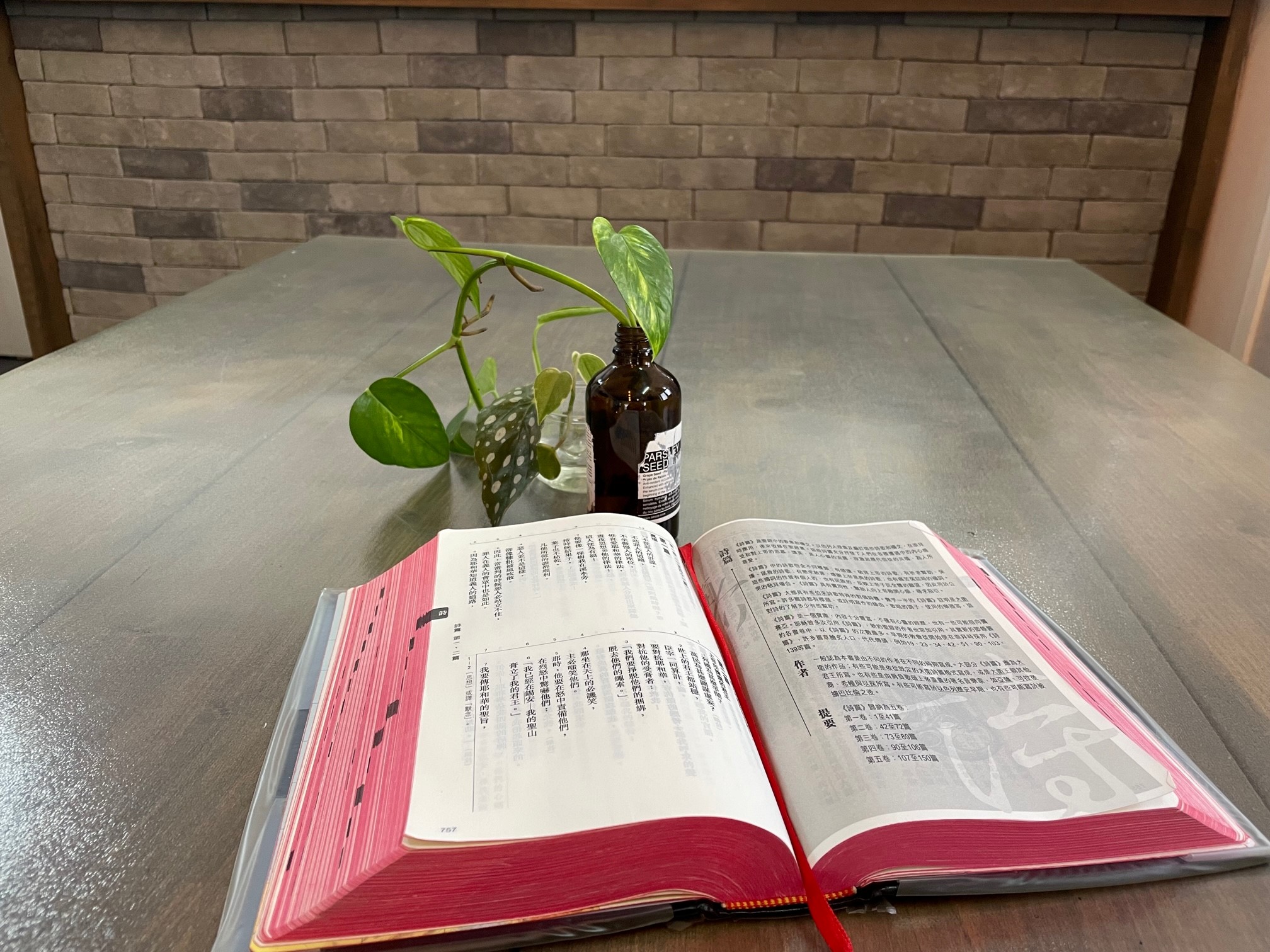 2025-9-11 代禱事項